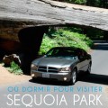 Ou-dormir-pour-visiter-Sequoia-Park