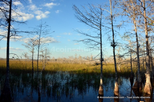 site de rencontre gratuit en floride