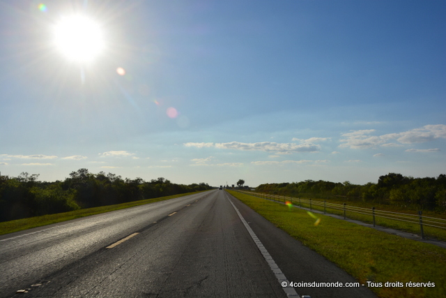 La route classique qui traverse les Everglades
