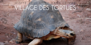 Le village des tortues de Gonfaron. Une balade éducative dans le #Var pour toute la famille