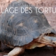 Le village des tortues de Gonfaron. Une balade éducative dans le #Var pour toute la famille