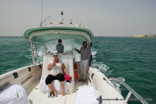Inévitable pour voir les Dauphins en liberté à Bahreïn, la sortie en bateau.