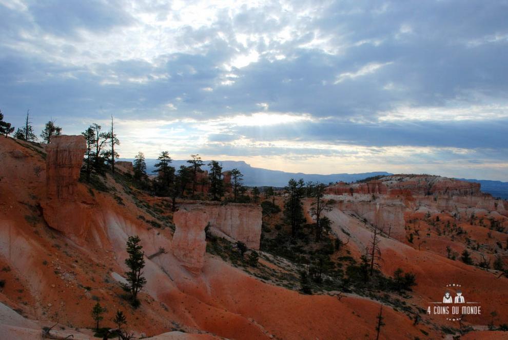 Visiter Bryce Canyon 16