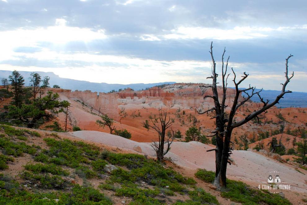 Visiter Bryce Canyon 17