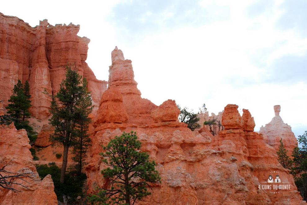Visiter Bryce Canyon 27