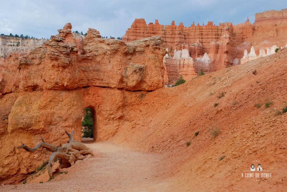 Visiter Bryce Canyon 28