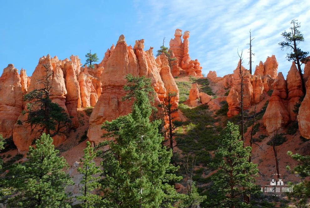 Visiter Bryce Canyon 47