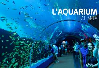 Visite aquarium d'atlanta. Le 2ème plus grand aquarium au monde